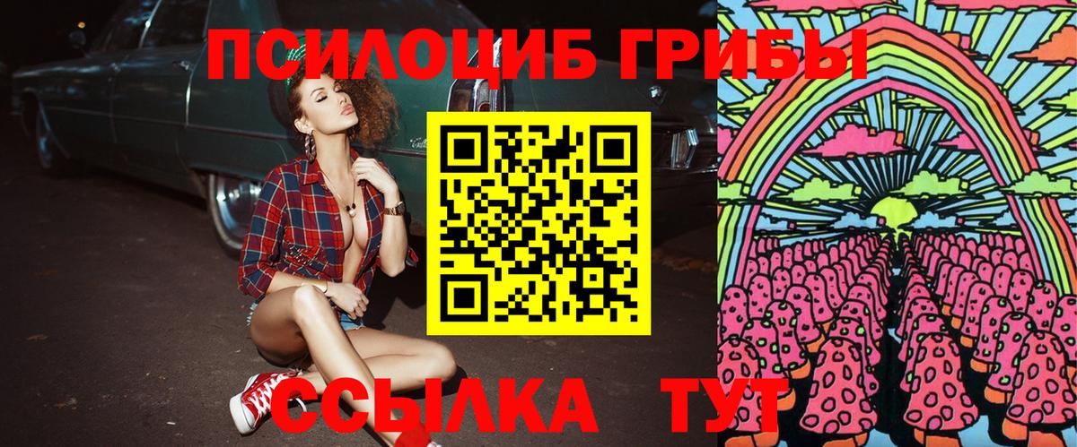 Галлюциногенные грибы Psilocybine cubensis  Вход с VPN  Зеленодольск 